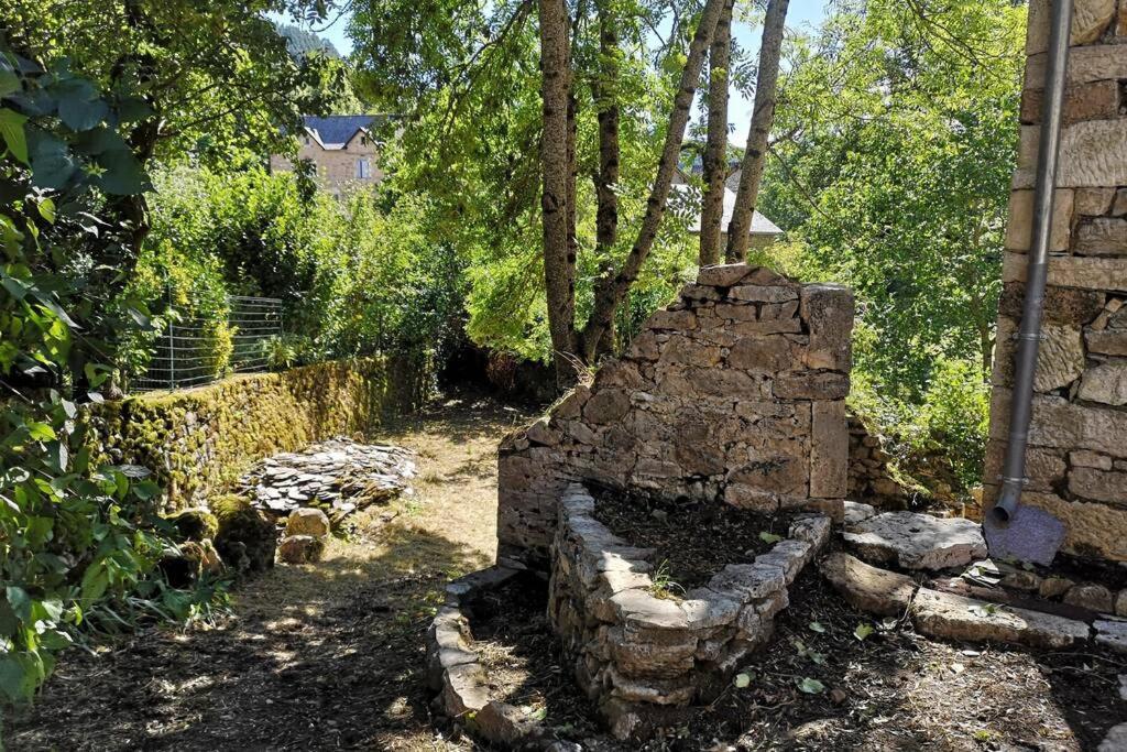 Maison Traditionnelle En Lozere Saint-Saturnin  Exteriör bild